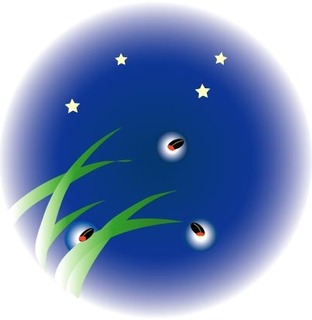 ほたる イラスト.jpg