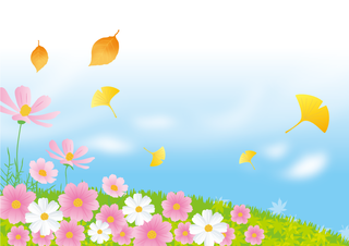 コスモス風景.png